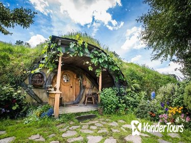 Hobbiton Movie Set Small Group Tour from Auckland