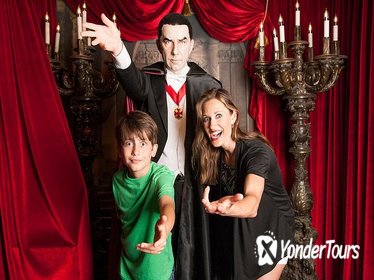 Hollywood Wax Museum and Guinness World Records Museum Combo Admission