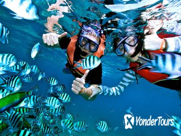 Hon Mun Island Half-Day Snorkeling Guided Tour from Nha Trang