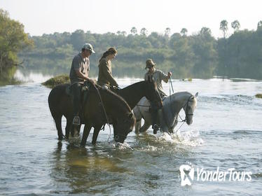 Horse Back Safari Tour from Victoria Falls