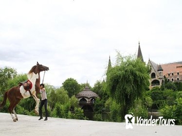 Horse Riding Experience at Ravadinovo Castle