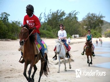 Horseback Beach Experience Antigua