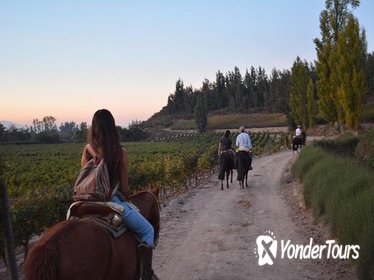 Horseback Private Wine Tour and Country Grill from Santiago