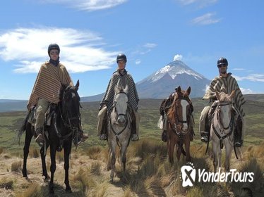 Horseback Riding and Cotopaxi National Park Private Tour