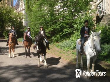 Horseback Riding in Central Park