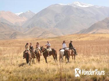 Horseback Riding in Potrerillos from Mendoza (Half Day)