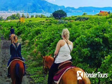 Horseback Riding on the Vesuvius Horseback Riding on the Vesuvius