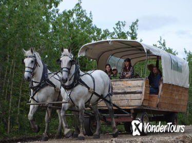 Horse-Drawn Covered Wagon Ride with Backcountry Dining