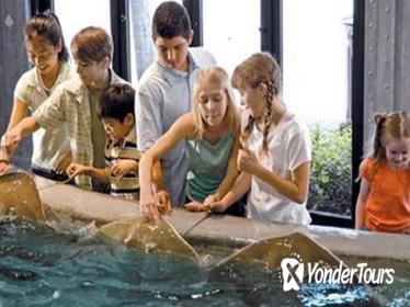 Houston City Tour and Admission to Downtown Aquarium