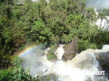 Iguazu Falls: Visit to Brazilian Side with Birds Park (Parque das Aves)