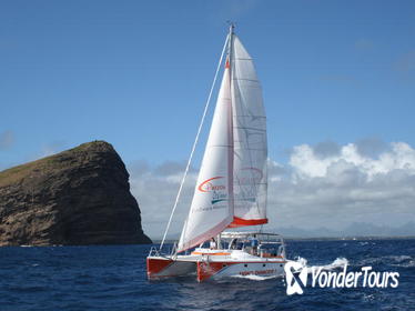 Ilot Gabriel Catamaran Cruise in Mauritius