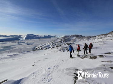 Ilulissat Snowshoeing Hike