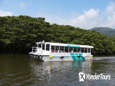 Iriomote Island and Yubu Island Tour