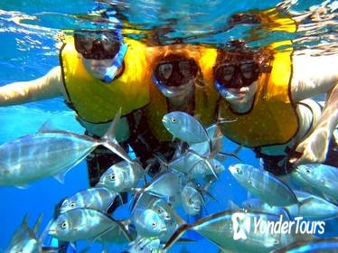 Isla Mujeres Deluxe All-Inclusive Day Trip from Cancun or Riviera Maya