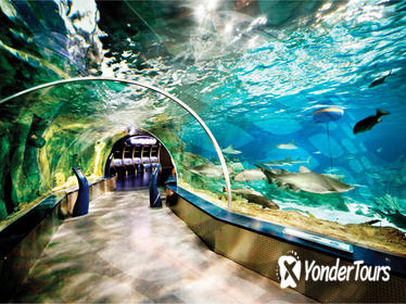 Istanbul Aquarium and Aqua Florya Independent Shopping Trip