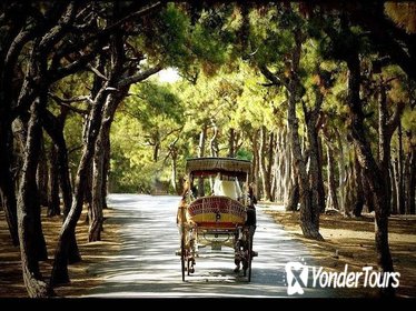 Istanbul Princes' Islands Boat Trip with Lunch and Horse-Drawn Carriage Ride