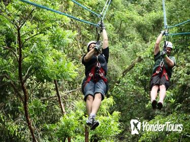 Ixpanpajul Natural Park Zipline and Eco-Adventure Tour from Flores