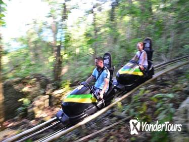 Jamaica Bob Sled, Blue Hole & Bob Marley Nine Miles, 3 Tours from Ocho Rios