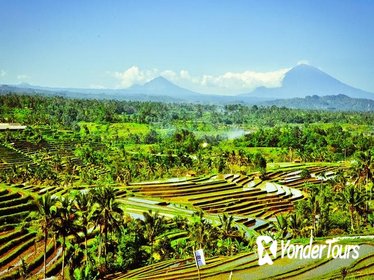 Jatiluwih and Tanah Lot Tour