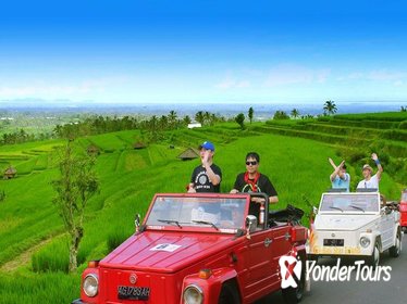 Jatiluwih VW Safari Bali Tour