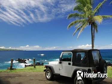 Jeep Tour and Snorkel in Cozumel from Playa del Carmen