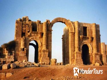 Jerash Ajlun and Amman Panoramic Full Day Tour from Amman