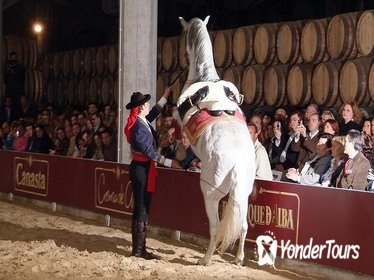 Jerez and Cadiz Day Trip from Costa del Sol with Winery Tour, Andalusian Horse Show and Sightseeing Cruise