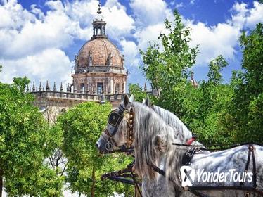 Jerez de la Frontera History and Art Walking Tour