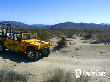 Joshua Tree Hummer Adventure from Palm Desert