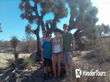 Joshua Tree National Park Van Tour