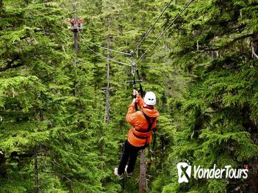 Juneau Shore Excursion: Douglas Island Zipline Tour from Juneau