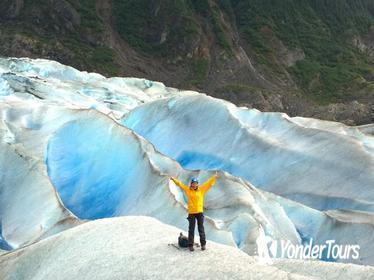 Juneau Shore Excursion: Mendenhall Glacier Trek