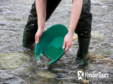 Juneau Super Saver: Gold Panning and Salmon Bake