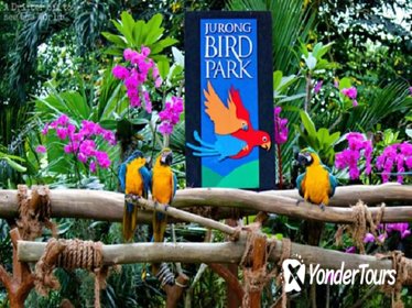 Jurong Bird Park Admission Ticket