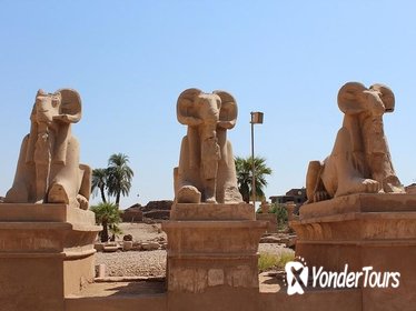 Karnak Temple Visit from Luxor