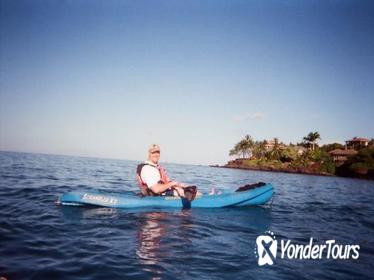 Kayak and Snorkel - South Shore Turtle
