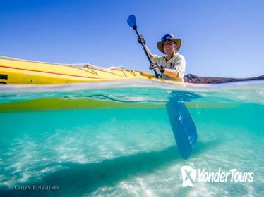Kayaking in the Sea of Cortez from Todos Santos Kayaking in the Sea of Cortez from Todos Santos