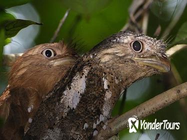 Kerala Bird Watching Tour Kerala Bird Watching Tour