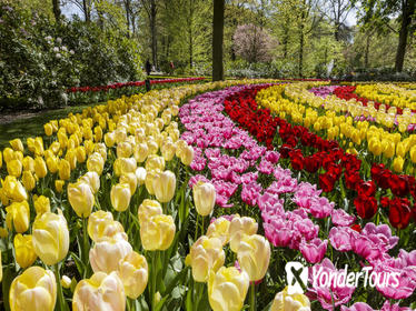 Keukenhof Garden Entrance Ticket with Transfers from Amsterdam