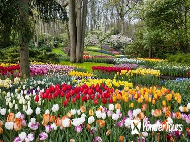 Keukenhof Gardens Direct Entrance Ticket