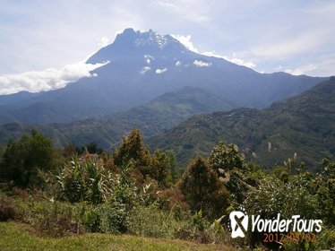 Kinabalu Park and Bamboo Spring Tour