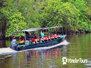 Klias River Safari from Kota Kinabalu