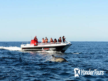 Knysna Lagoon 1.5-hour Sightseeing Boat Cruise