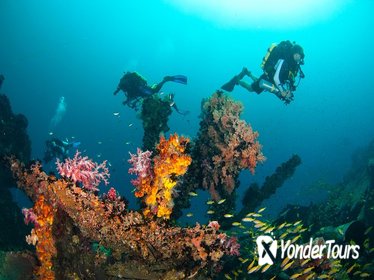 Kota Kinabalu Leisure Diving (Experienced Divers)