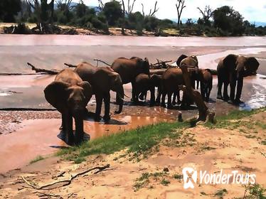 Kruger National Park Day Tour from Pretoria