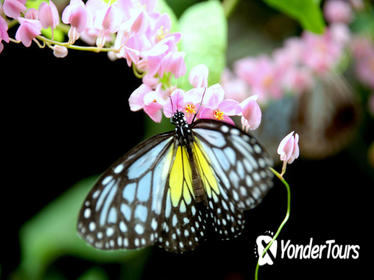 Kuala Lumpur Go Nature And Garden Private Tour