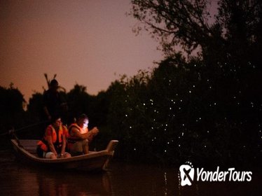 Kuala Selangor Firefly Tour including Seafood Dinner