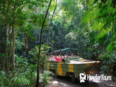 Kuranda Highlights including Rainforestation Aboriginal Culture and Wildlife