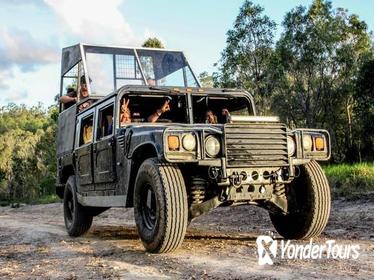 Kuranda Rainforest Night Adventure Tour by Hummer