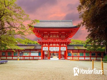 Kyoto and Nara Tour and Photo Shoot